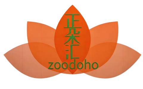 王都虎 道层方法论-  吸星大法到参天大树，一套完整的成长方法论